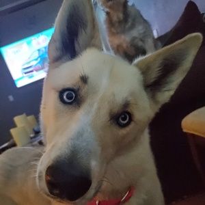 Meet your Posher, Angie